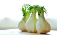 Alcuni aspetti interessanti riguardanti il finocchio
